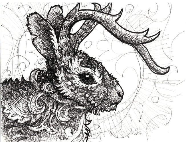 Jackalope Original Ink Drawing – allofthisisforyou