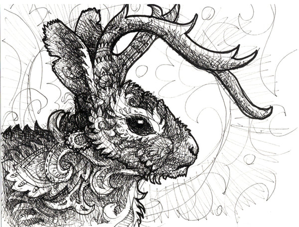 Jackalope Original Ink Drawing