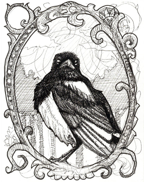 Magpie Original Ink Drawing