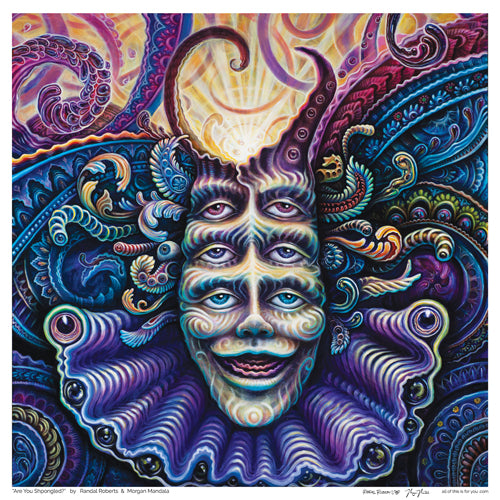 “Are You Shpongled?”