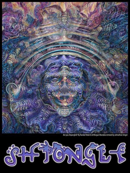 "Shpongled” Remix SIGNED Limited Edition Print