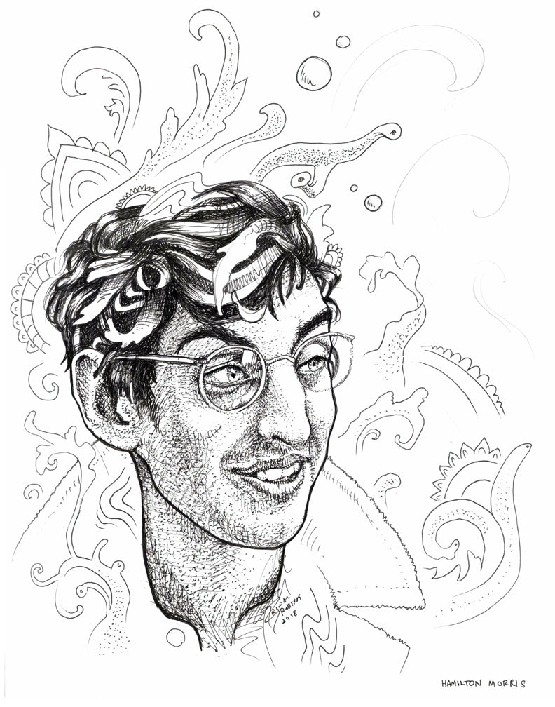 Hamilton Morris Portrait Study Original Ink Drawing