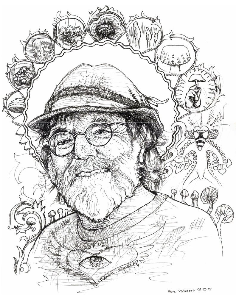 Paul Stamets Portrait Study Original Ink Drawing