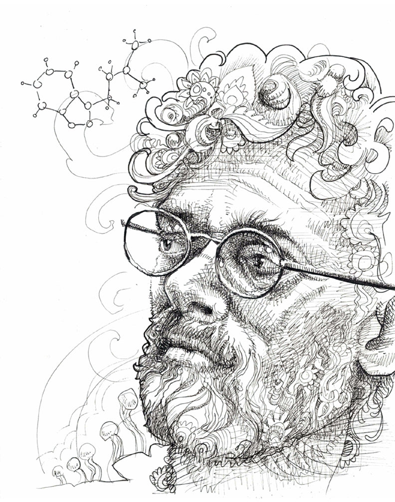 Terence Mckenna Study Original Ink Drawing