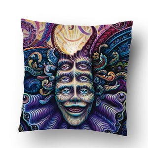 Are You Shpongled Pillow
